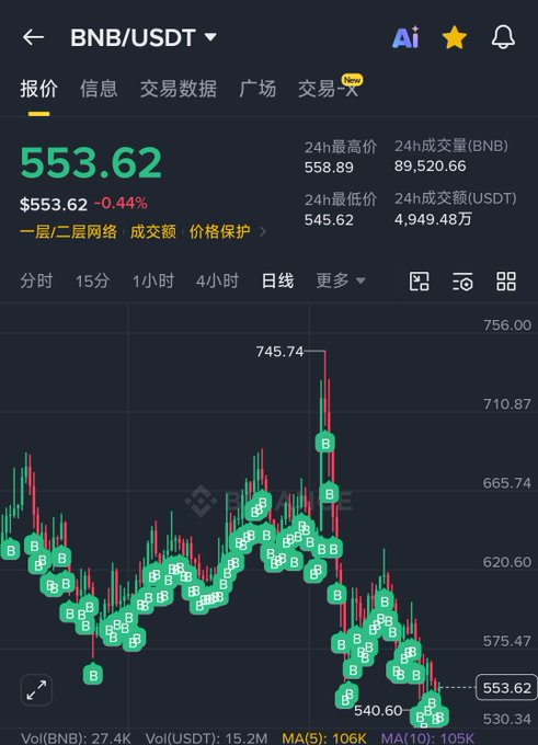 The screenshot displays a Binance trading chart for BNB/USDT, showing a current price of $553.62 (down 0.44%) with a 24-hour range between $545.62 and $558.89. The daily candlestick chart illustrates a steep decline from a recent high of $745.74 down through multiple "B" (Binance buy/sell token) markers, visually representing the painful downward trend that has turned the poster's dollar-cost averaging strategy into significant losses.
