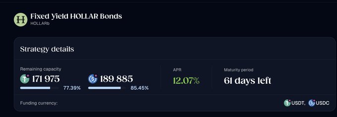 A screenshot showing strategy details for 'Fixed Yield HOLLAR Bonds' (HOLLARB), with a remaining capacity of 171,975 USDT and 189,885 USDC, an APR of 12.07%, and 61 days left until maturity.