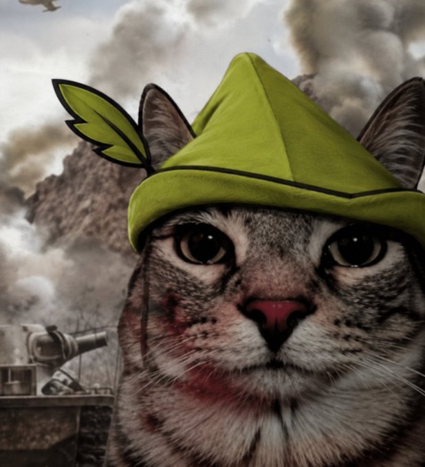 A close-up of a tabby cat with dirt on its face wearing a green Robin Hood-style hat, set against a digitally added war-torn battlefield background with tanks and smoke.