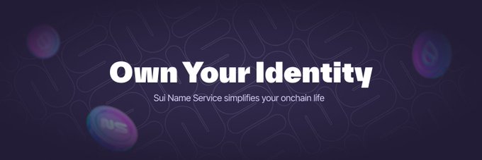 A purple promotional banner reads “Own Your Identity” with the subtitle “Sui Name Service simplifies your onchain life.” It visually supports the announcement that an application for the **.sui** top-level domain has been submitted to **ICANN**, aiming to bring SuiNS names into the global internet DNS.