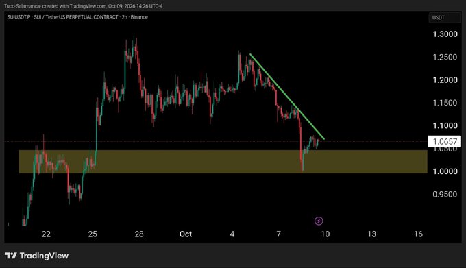 TradingView 2-hour chart of the SUI/USDT perpetual contract on Binance showing a sharp price decline with a descending trendline and a highlighted yellow support zone around the $1.00–$1.05 level.