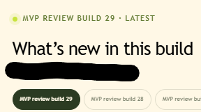 A mobile app screenshot showing 'MVP REVIEW BUILD 29 · LATEST' at the top with the heading 'What's new in this build' (partially redacted with a black scribble), and pill-shaped buttons for 'MVP review build 29', 'MVP review build 28', and 'MVP review bu' below.