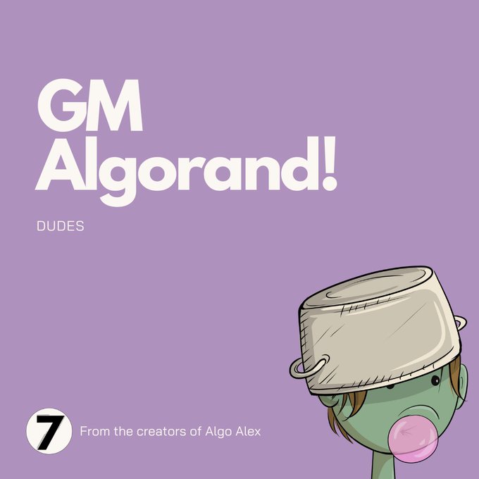 A purple graphic reading 'GM Algorand! DUDES' featuring a cartoon character with a metal pot on its head, noting it's from the creators of Algo Alex.
