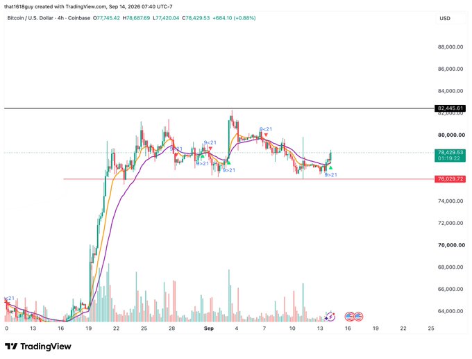 A TradingView 4-hour Bitcoin/USD chart showing BTC trading at $78,429.53 (+0.88%) with multiple "9>21" algorithmic signals marking short-term scalp entry/exit points between roughly $74,000 and $83,500, illustrating the algo's scalping trades over a month-long sideways range.