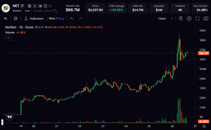 A TradingView cryptocurrency chart for the NetNet token showing a market cap of $66.7M, price of $1,227.63, and a 64.55% 24-hour change, with recent price action between $20M and $90M.