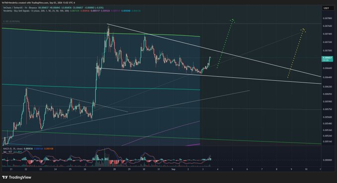 TradingView advanced chart of the PePe/USDT perpetual futures pair showing a symmetrical triangle pattern with a projected breakout target around 0.00001400.