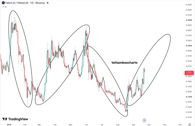 TradingView daily candlestick chart of Fetch.AI/TetherUS (FET/USDT) on Binance from 2024, showing price action between $0.11-$0.30 with a red descending trendline and several circled patterns by @tehlamboxcharts.