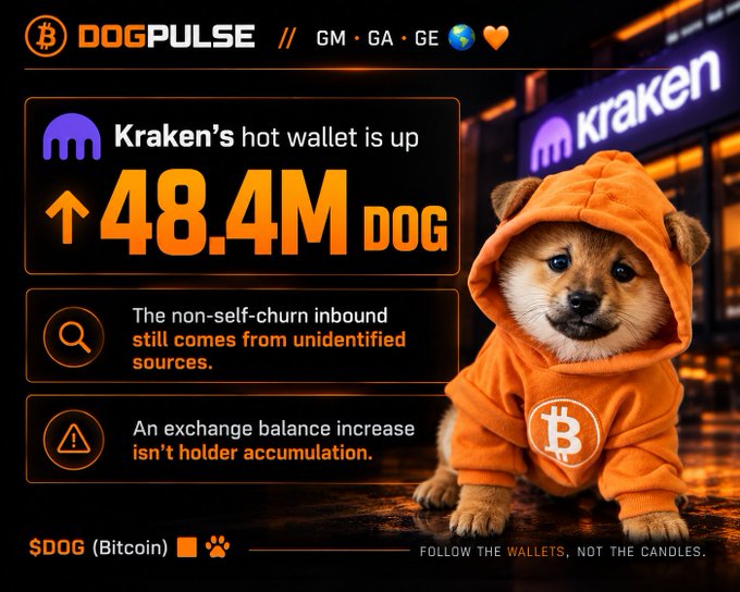 A DOGPULSE infographic about DOG cryptocurrency showing 'Kraken's hot wallet is up 48.4M DOG' with an adorable Shiba Inu puppy wearing an orange Bitcoin-themed hoodie, alongside warnings about unidentified sources and exchange balance increases.