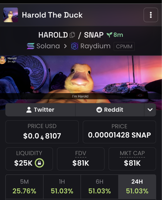 A cryptocurrency tracking app showing details for "HAROLD / SNAP" on the Solana > Raydium exchange, featuring a photo of a duck and stats like a price of $0.048107 and 51.03% gains over 24 hours.