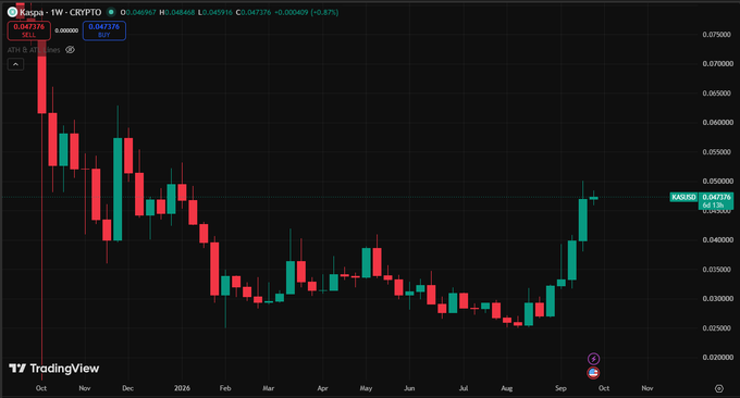 A TradingView weekly candlestick chart of $KAS/Kaspa (CRYPTO) showing four consecutive green candles pushing the price from ~$0.035 to $0.04776 (a 66.13% gain), briefly touching the $0.05 resistance level on the latest weekly candle—visually reinforcing the bullish post's claim that every dip is a buying opportunity.