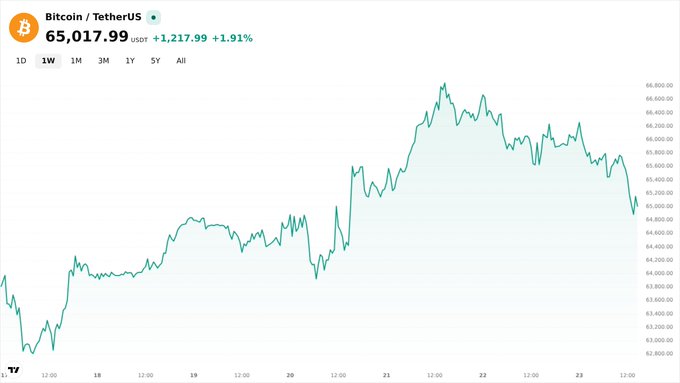 Bitcoin/Tether US price chart showing BTC at $65,017.99 USDT, up +$1,217.99 (+1.91%) over a 1-week timeframe.