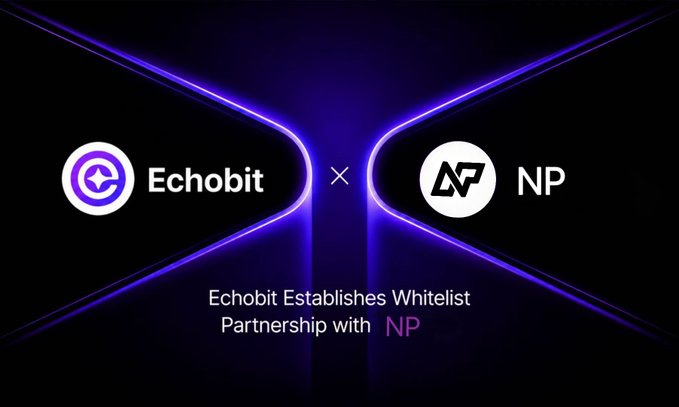 A promotional graphic featuring the Echobit and NP logos side-by-side with an "x" between them, set against a dark background with purple neon lines forming an hourglass shape. The text below reads "Echobit Establishes Whitelist Partnership with NP," visually announcing the strategic collaboration between the two crypto projects to bridge traditional real-world assets with digital finance.