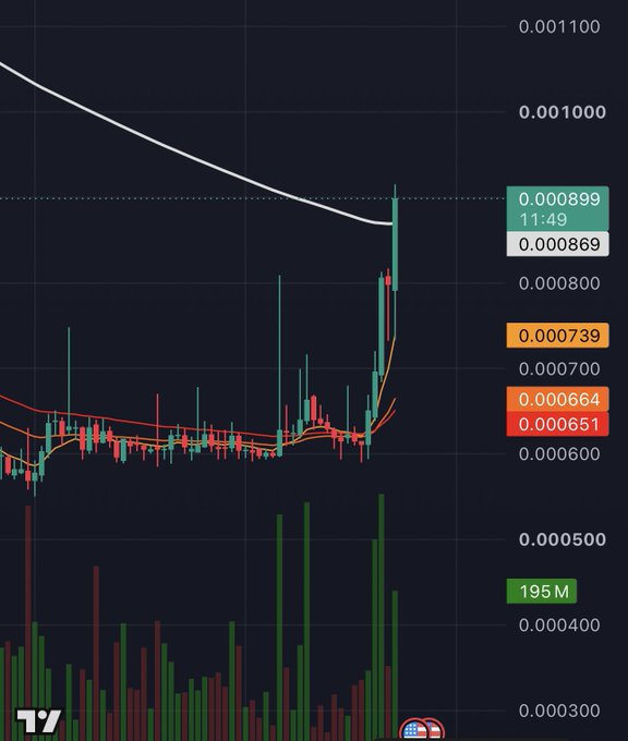 The image shows a stock chart where it looks like around 11:49 the stock rose again. The post says that the stock just broke above the 200 EMA or Exponential Moving Average which is a sell signal for traders when prices drop below it, so this may be a good sign for the stock.