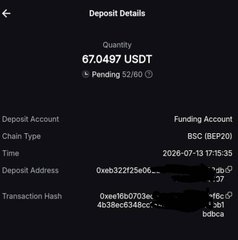The image shows a "Deposit Details" screen for 67.0497 USDT, with a pending balance of $2.60 and transaction hashes beginning with "0xe3c22f25e06..." and "0xeef6b9703ec..." This contrasts with the post's humorous sentiment—despite a successful deposit of ~67 USDT, the user's overall crypto earnings have dwindled to just $7, highlighting the volatile nature of trading where deposits can feel significant but overall gains quickly diminish.