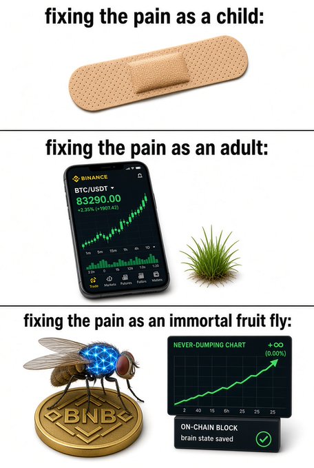 A three-panel meme comparing pain relief: a band-aid ('fixing the pain as a child'), a Binance phone showing BTC/USDT at $83,290.00 with a green chart next to a small plant ('fixing the pain as an adult'), and an immortal fruit fly on a BNB coin with a 'NEVER-DUMPING CHART +∞ (0.00%)' and 'ON-CHAIN BLOCK brain state saved' ('fixing the pain as an immortal fruit fly').