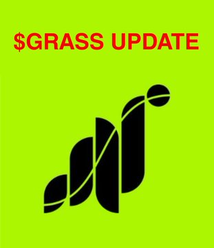 The image features a bright neon green background with red "$GRASS UPDATE" text at the top and a black abstract logo in the center, visually promoting the Grass cryptocurrency airdrop clarification. It serves as a graphic header for the post explaining that diamonds are merely point indicators and not directly convertible to $GRASS tokens, correcting a common misconception about Season 2 rewards.