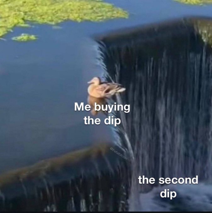 A meme showing a duck swimming in water labeled 'Me buying the dip' with 'the second dip' pointing to a large water drainage below, watermarked @tiktok.com.