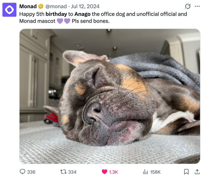 A close-up photo shows Anago, the Monad office dog and mascot, peacefully sleeping with eyes closed, accompanying a birthday tweet celebrating his 5th birthday and asking followers to "send bones."