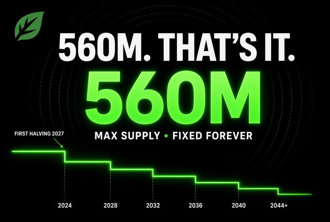 The graphic illustrates the capped maximum supply of 560M $CNPY tokens, emphasizing that no additional tokens will ever be minted, with halving events occurring every four years starting in 2024 to gradually reduce new issuance over time. The visual reinforces the post's key message that CNPY's monetary design—not its AI functionality—is its defining feature, showcasing a fixed 560M supply cap through a descending step chart of halving events from 2024 to 2044+.