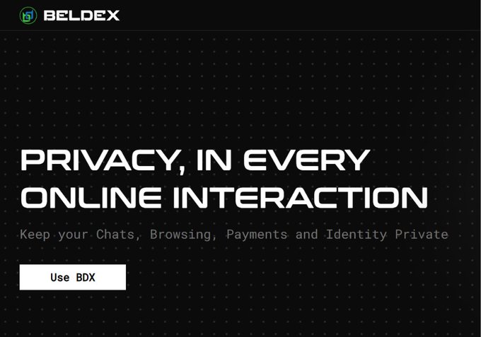The image displays a promotional graphic for Beldex (BDX) featuring the headline "PRIVACY, IN EVERY ONLINE INTERACTION" with the subtext "Keep your Chats, Browsing, Payments and Identity Private" and a "Use BDX" call-to-action button. This visual reinforces the post's emphasis on Beldex's privacy-focused blockchain infrastructure, highlighting the platform's commitment to securing user data across various digital activities.