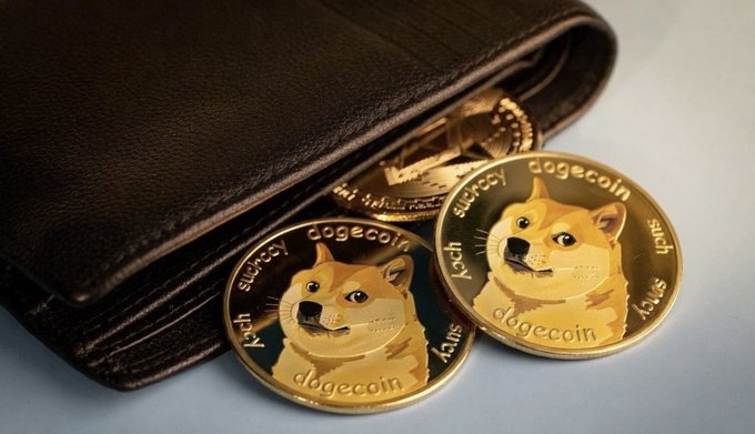 Two gold Dogecoin physical coins featuring the Shiba Inu dog logo and text reading 'cogecoin' spilling from a black leather wallet.