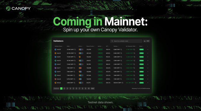 A promotional screenshot from Canopy announcing "Coming in Mainnet" with the tagline "Spin up your own Canopy Validator," showing a dashboard listing multiple validators with network statistics.