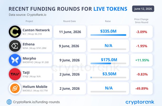 The image displays a graph or chart that features recent fundraising rounds for various projects with live tokens, including Cryptofunking, Catalyst networks, and Etherion. The data sources shown are Cryptofunking, Catalyst networks, Etherion, and others, providing an overview of these funds. Each project's funding round is highlighted in red, with the highest amounts being $335M, $175M, and $3.5M, respectively.