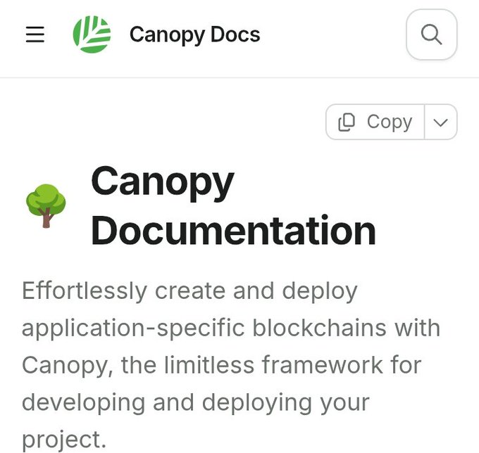 The image shows the Canopy Documentation landing page from Canopy Docs, featuring the heading "Canopy Documentation" and introductory text: "Effortlessly create and deploy application-specific blockchains with Canopy, the limitless framework for developing and deploying your project." This relates to the post by serving as the official reference source for validator operational rules, such as the penalty threshold for missing 60 of 100 consecutive blocks, which results in being marked offline and a 1% slash of staked CNPY tokens.