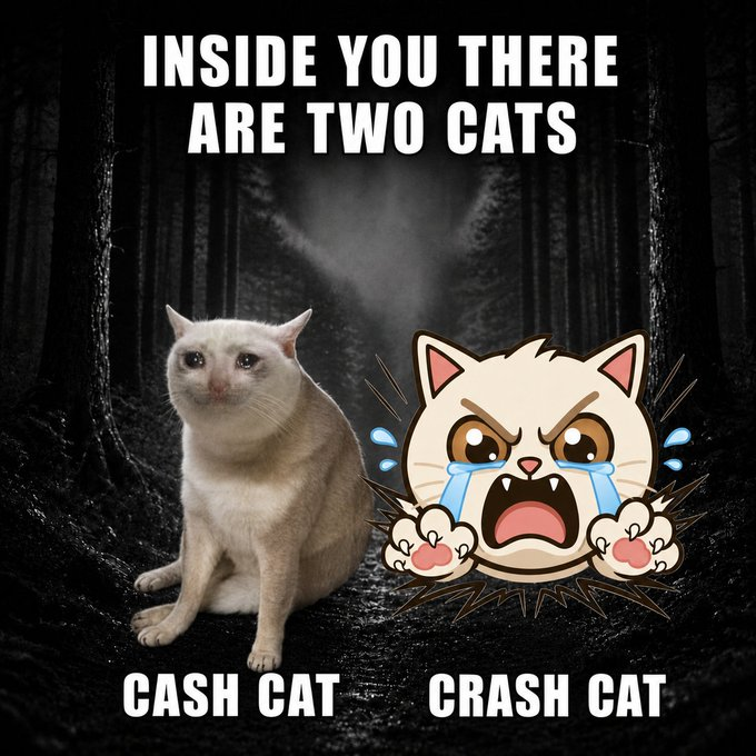 A meme image with the text 'INSIDE YOU THERE ARE TWO CATS' showing a calm white cat labeled 'CASH CAT' next to a crying, panicked cartoon cat labeled 'CRASH CAT' against a dark forest background.