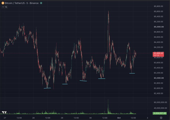 A Bitcoin/TetherUS (BTCUSDT) 5-minute candlestick chart on Binance shows the price consolidating around $84,025 after a sharp spike toward $85,600, with cyan horizontal lines marking a series of higher lows across recent sessions that visually support the author's bullish bias of expecting new highs before a major retrace. The accompanying post highlights these higher lows on the lower timeframe (LTF) as confirmation of bullish structure despite the choppy roundtrip price action.