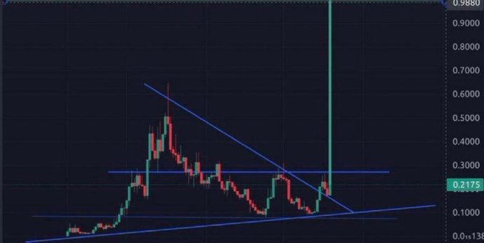 A candlestick chart shows a crypto asset with a price of approximately $0.2175, displaying a massive vertical spike upward through descending trendline resistance—a classic "runner" breakout pattern that aligns with the post's claim of calling a high-momentum breakout alert on T.me/fluffyalpha.