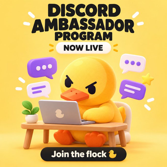 Promotional graphic for a Discord Ambassador Program with the tagline 'Join the flock,' featuring a 3D yellow duck mascot working on an Apple laptop surrounded by purple chat bubbles.