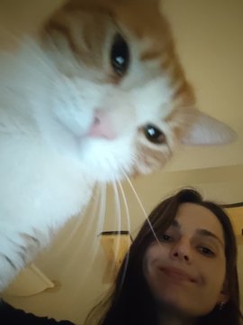 A selfie of a woman with a large orange and white cat positioned close to the camera in the foreground.