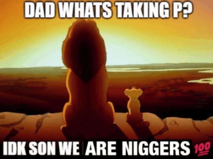 A Lion King meme parody with two silhouetted figures (a large lion and a cub) overlooking a sunset, with text 'DAD WHATS TAKING P?' and 'IDK SON WE ARE NIGGERS'.