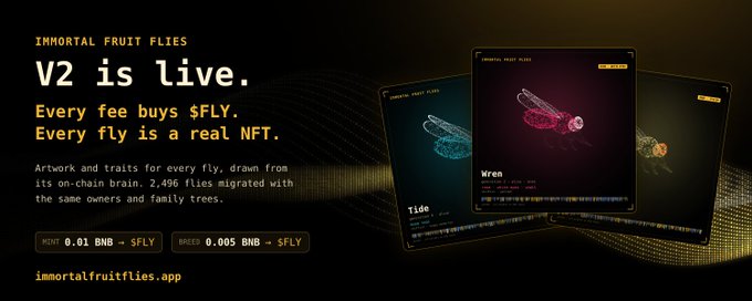 Promotional banner for 'Immortal Fruit Flies V2' announcing it is live, stating 'Every fee buys $FLY. Every fly is a real NFT' and showing NFT cards alongside mint and breed prices in BNB.