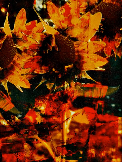An artistic, dreamlike double-exposure photograph blending vibrant orange and red flowers, possibly sunflowers, with abstract patterns and a figure.