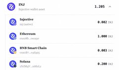 A cryptocurrency price listing showing Injective (INJ) at 1.205, Injective (native) at 0.002, Ethereum at 1.000, BNB Smart Chain at 0.003, and Solana at 0.200.