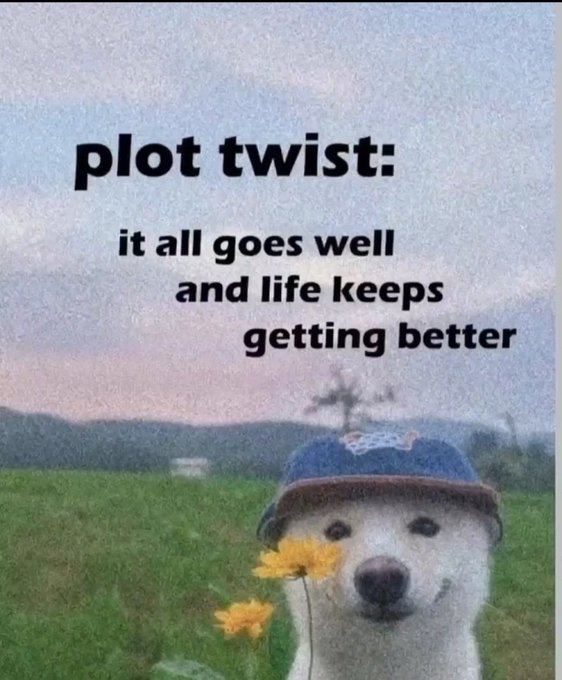 A wholesome meme featuring a white dog wearing a blue hat holding yellow flowers, with text reading 'plot twist: it all goes well and life keeps getting better'.