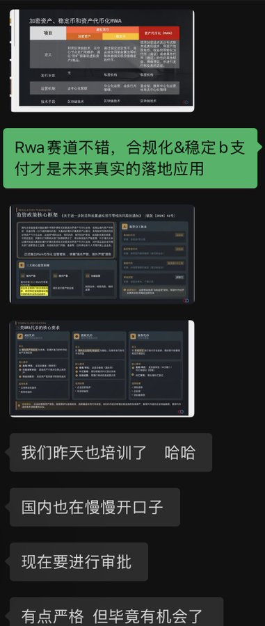 A Chinese-language messaging screenshot discussing RWA (Real World Assets) and KWA projects, mentioning training sessions, regulatory approval processes, and stablecoin payment applications, alongside images of project roadmaps.