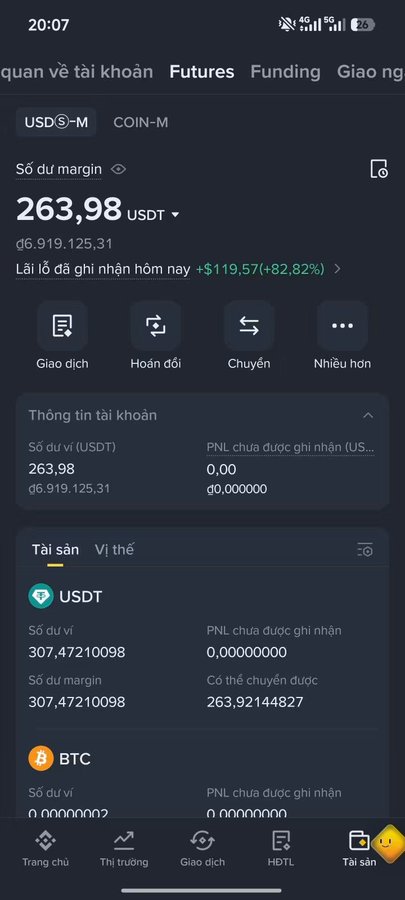 A Binance futures account screenshot in Vietnamese showing a USDT-M margin balance of 263.98 USDT (approximately 6,919,125.31) with a daily realized profit of +$119.57 (+82.82%).