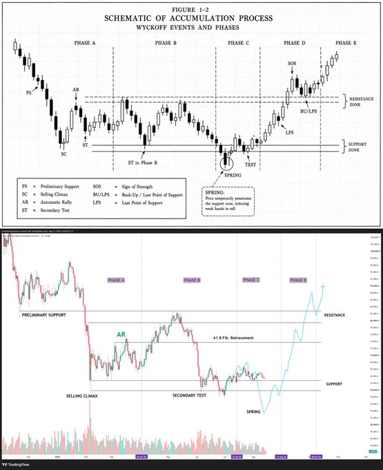 A financial chart titled 'SCHEMATIC OF ACCUMULATION PROCESS' showing Wyckoff events and phases (A-E) including selling climax and spring, with TradingView indicators.