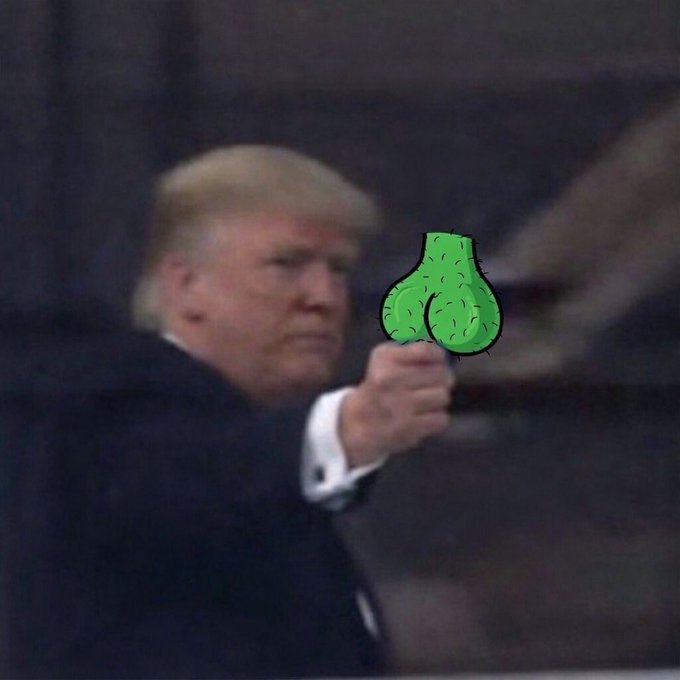 A meme featuring Donald Trump pointing forward, with a cartoon green cactus butt edited over where his hand would be.