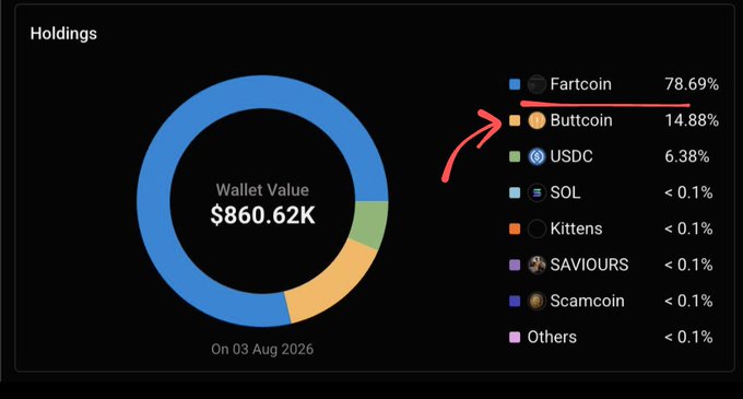 A holdings pie chart displaying wallet value of $860.62K on 03 Aug 2026, showing Fartcoin (78.69%) as the dominant holding, followed by Buttcoin (14.88%) and USDC (6.38%), with SOL, Kittens, SAVIOURS, Scamcoin, and Others each under 0.1%. A red arrow highlights the Fartcoin and Buttcoin entries.
