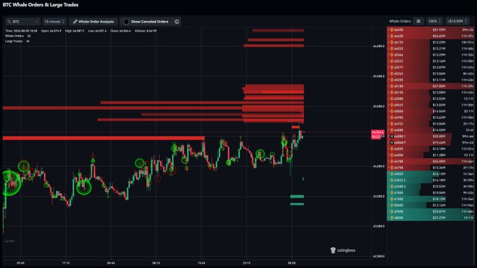 A financial trading chart titled 'BTC Whale Orders & Large Trades' from CoinGlass displays a candlestick graph with red whale order bars and a whale orders data table on the right.