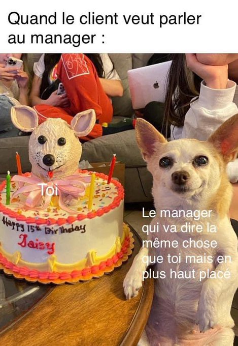 A French meme captioned 'Quand le client veut parler au manager' ('When the customer wants to speak to the manager'), showing a dog cake labeled 'Toi' (You) and a chihuahua labeled 'Le manager qui va dire la même chose que toi mais en plus haut place' (The manager who will say the same thing as you but in a higher position).