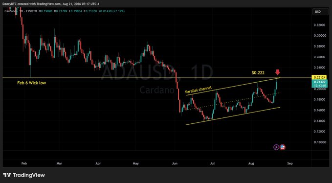 A TradingView daily chart of Cardano (ADAUSD) showing price action with a parallel channel pattern, highlighting a $0.222 level and Feb 6 wick low around $0.1690.
