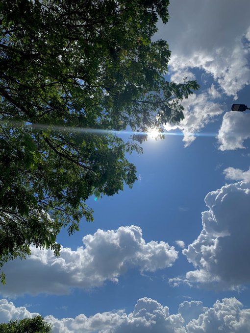 A bright sunny sky with scattered white clouds and lens flare, framed by green tree leaves in the upper left corner.