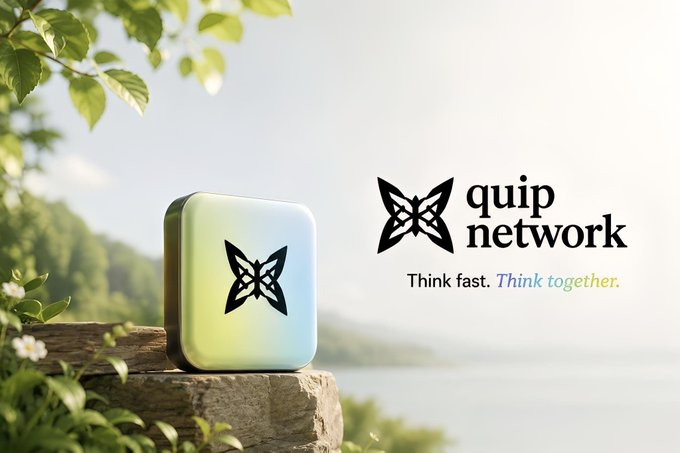 A promotional image for 'quip network' with the tagline 'Think fast. Think together.', showing a stylized device with a butterfly-like logo resting on stone with a scenic nature background.