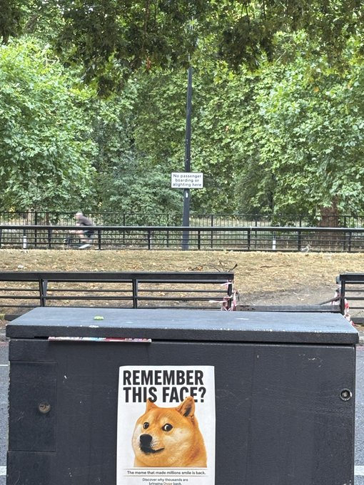 A park scene featuring a utility box with a 'REMEMBER THIS FACE?' poster showing a Shiba Inu dog, with a sign in the background reading 'No passenger bus stop or sighting here'.