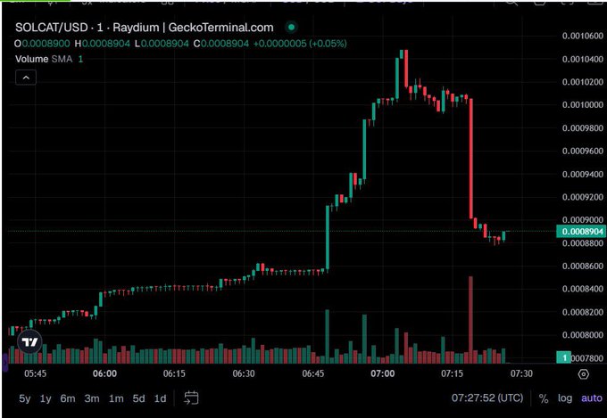 A 1-minute candlestick chart of SOLCAT/USD on Raydium (via GeckoTerminal) shows the token spiking from around $0.000860 to a peak near $0.001050 around 7:00 UTC before sharply pulling back to $0.000890, with notable volume spikes accompanying the volatility. The chart illustrates the price action momentum referenced in the post, which highlights $SOLCAT's recent movement and community buzz while questioning the project's deeper vision beyond the chart.